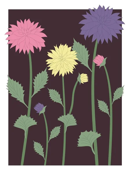 Aster Jardim Flor Ilustração — Vetor de Stock