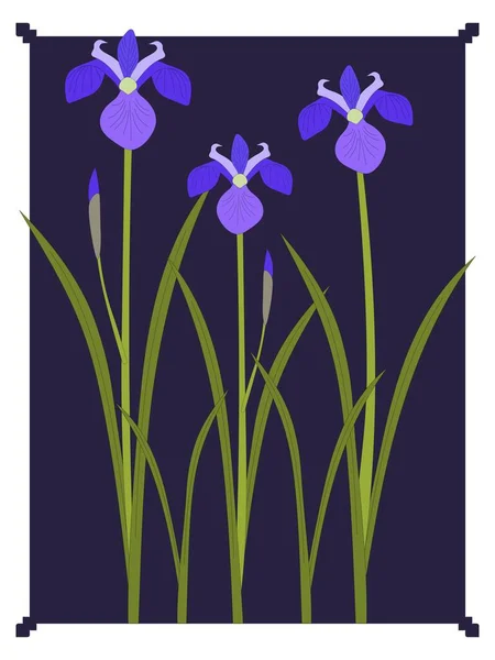 Iris Modrá Zahrada Květiny Ilustrace — Stockový vektor