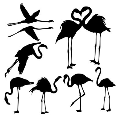 Flamingo Silhouettes - illüstrasyon
