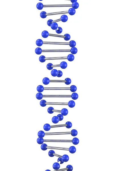 Die dna - 3d — Stockfoto