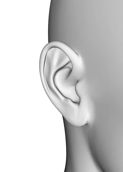 Ear Görüntüleyici — Stok fotoğraf