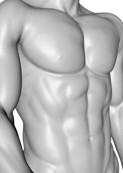 Männliche Muskeln Renderer — Stockfoto