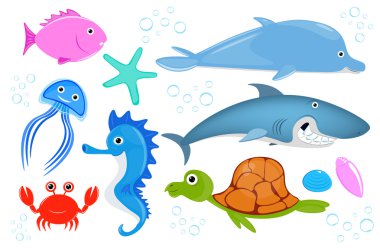 deniz canlılarının kümesi