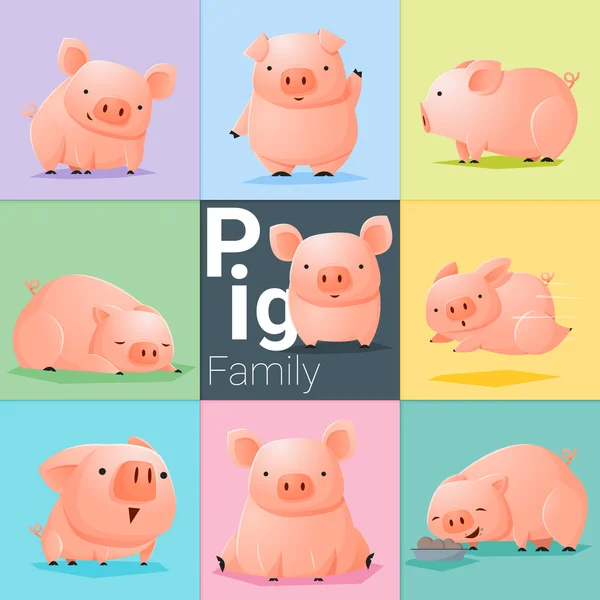 Set van varken familie, vector illustratie — Stockvector