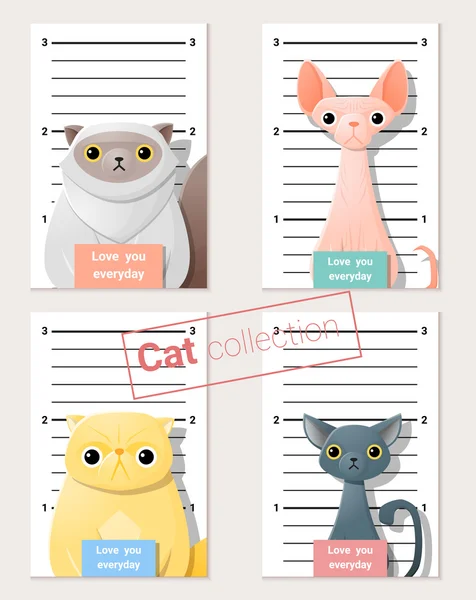 Mugshot de lindos gatos sosteniendo una pancarta, vector, ilustración — Vector de stock