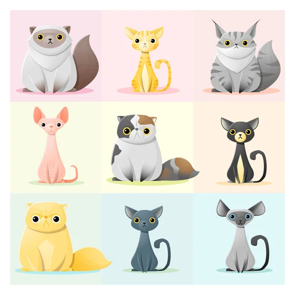 Набір сімейства котів, вектор, ілюстрація — стоковий вектор