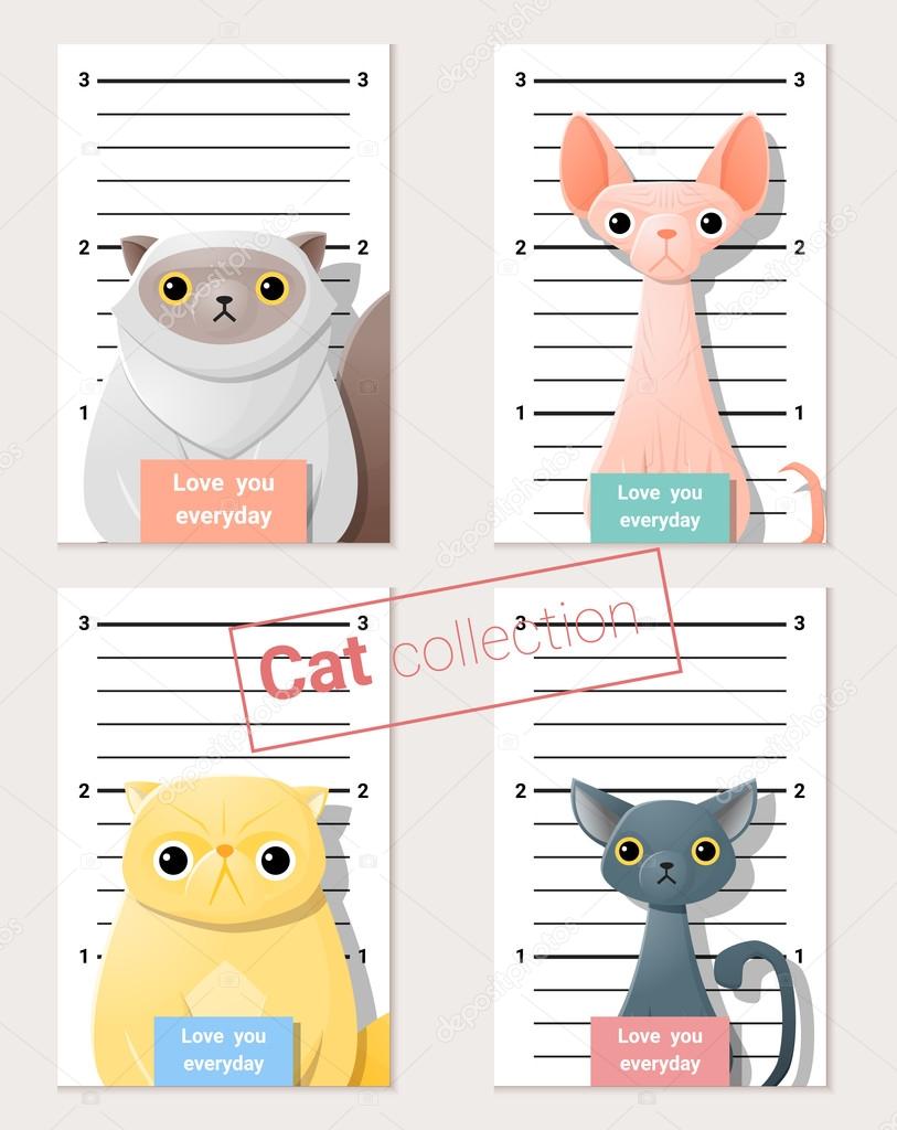 Mugshot of  cute cats holding a banner , vector, illustration