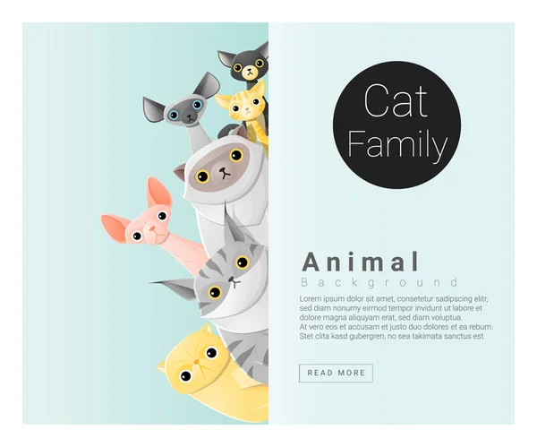 Família animal bonito fundo com gatos, vetor, ilustração —  Vetores de Stock