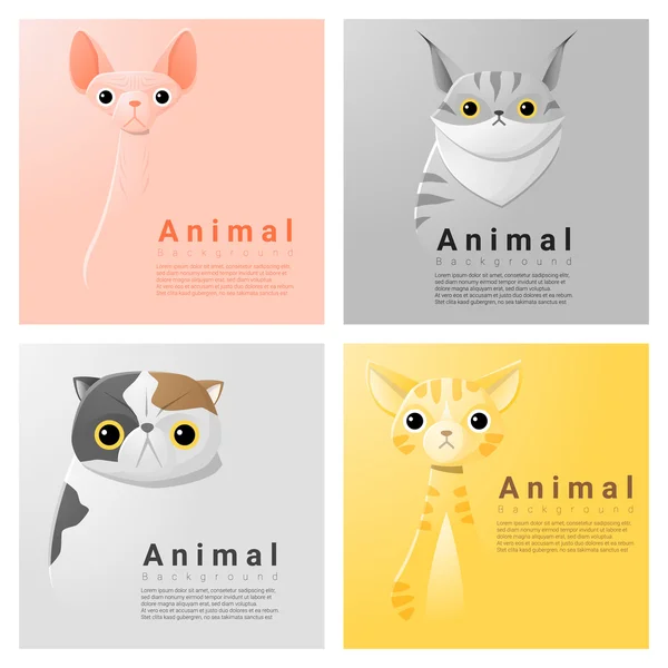 Coleção de retrato animal com gatos, vetor, ilustração —  Vetores de Stock