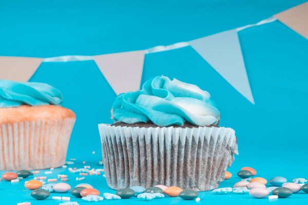 Fresh tasty vanilla and chocolate cupcakes with blue butter cream. Holiday or party sweet snack. Copy space. Festive greeting card. Selective focus
