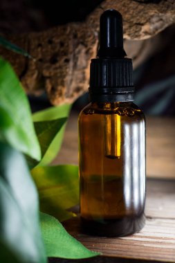 Kahverengi cam şişesinde organik sarı yağı olan doğal organik botanik alternatif yeşil bitki ilacı, cilt bakımı. Biyoloji bilimi. Spa mı? Seçici odak