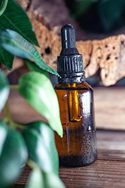 Kahverengi cam şişesinde organik sarı yağı olan doğal organik botanik alternatif yeşil bitki ilacı, cilt bakımı. Biyoloji bilimi. Spa mı? Seçici odak
