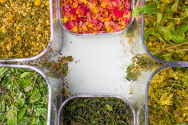 Şifalı otların, bitkisel ilaçların, Çin ve doğal alternatif ilaçların karışımı. Taze otlar ve çiçek çay koleksiyonuyla birlikte. Üst görünüm