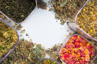 Şifalı otların, bitkisel ilaçların, Çin ve doğal alternatif ilaçların karışımı. Taze otlar ve çiçek çay koleksiyonuyla birlikte. Üst görünüm