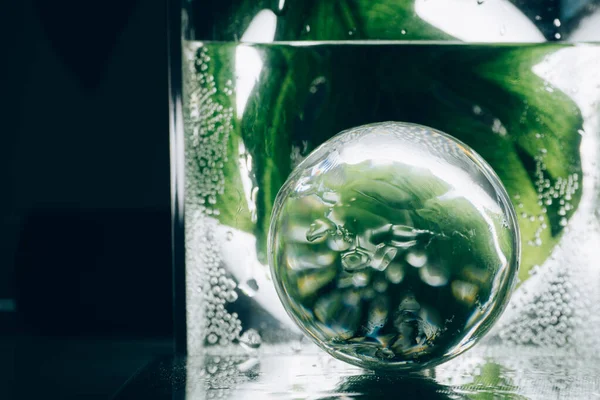 緑色の葉と透明なガラス球に水滴がついています 緑の惑星の概念 — ストック写真
