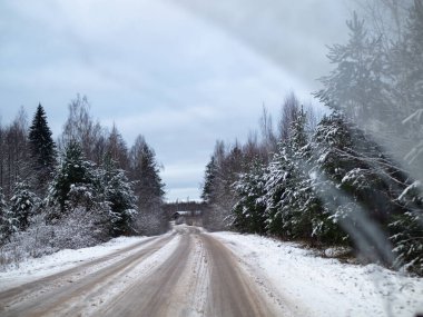 Çam ağaçlarıyla çevrili karlı yol, bir kır yolunda kış karında sürmek, seçici odak ve hareket efekti