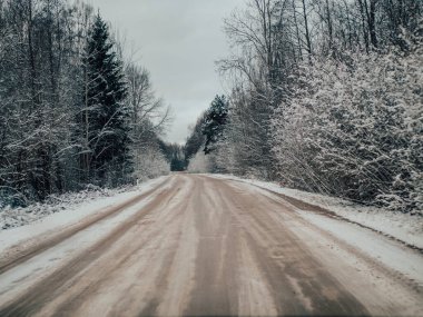 Çam ağaçlarıyla çevrili karlı yol, bir kır yolunda kış karında sürmek, seçici odak ve hareket efekti