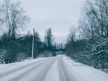 Çam ağaçlarıyla çevrili karlı yol, bir kır yolunda kış karında sürmek, seçici odak ve hareket efekti