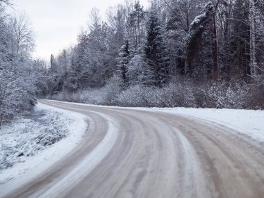 Çam ağaçlarıyla çevrili karlı yol, bir kır yolunda kış karında sürmek, seçici odak ve hareket efekti