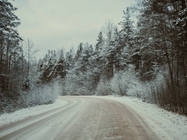 Çam ağaçlarıyla çevrili karlı yol, bir kır yolunda kış karında sürmek, seçici odak ve hareket efekti