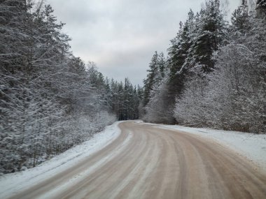 Çam ağaçlarıyla çevrili karlı yol, bir kır yolunda kış karında sürmek, seçici odak ve hareket efekti