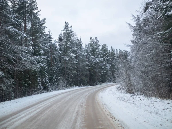 Χιονισμένος Δρόμος Περιτριγυρισμένος Από Πεύκα Οδήγηση Χειμερινό Χιόνι Επαρχιακό Δρόμο — Φωτογραφία Αρχείου