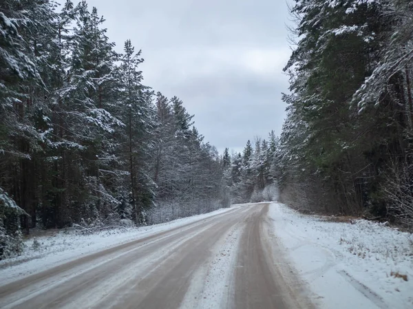 Drum Înzăpezit Înconjurat Pini Conducând Zăpadă Iarnă Drum Țară Focalizare — Fotografie, imagine de stoc