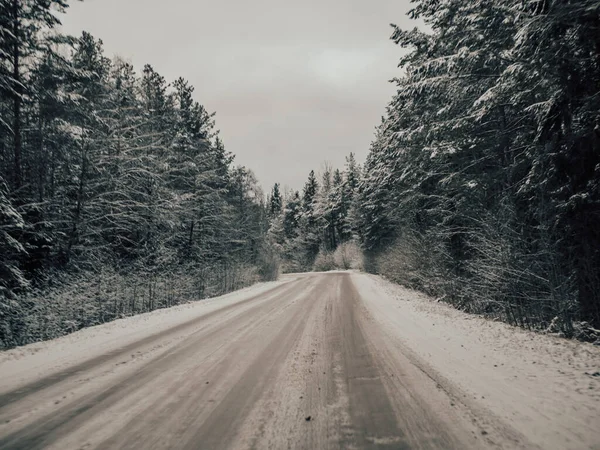 Snowy Road Surrounded Pine Trees Driving Winter Snow Country Road — Stock Photo, Image