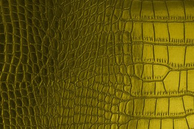 2021 'in moda renginde aydınlatıcı sarı deri tekstil, Boşluğu Kopyala