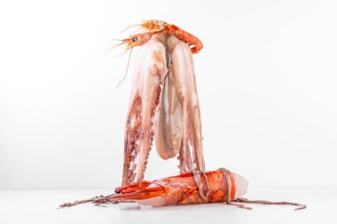 Beyaz arka planda deniz ürünleri yengeçleri, karides, ahtapot. Astaxanthin, antioksidan, iyot, çinko, kopyalama alanı bakımından zengin gıdalar.