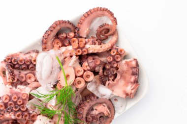 Dereotlu beyaz tepside kaynamış ahtapot salatası. Sağlıklı yiyecekler. Kapat.