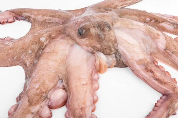 Verse Rauwe Octopus Tentakels Geïsoleerd Een Witte Achtergrond Rijk Aan — Stockfoto