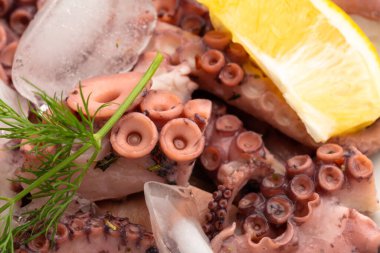 Limon ve dereotlu taze ahtapot salatası, buz küpleri.