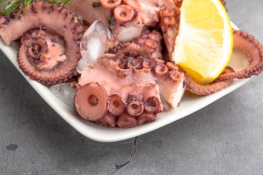 Limon ve dereotlu taze ahtapot salatası, buz küpleri.