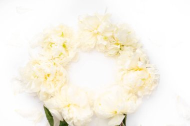 Nazik şakayık arkaplanlı çelenk çerçevesi, düz yatış, üst manzara. Doğum günü, yabani otlar, bayram tebrik kartı. Yıldönümü