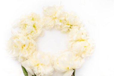 Nazik şakayık arkaplanlı çelenk çerçevesi, düz yatış, üst manzara. Doğum günü, yabani otlar, bayram tebrik kartı. Yıldönümü