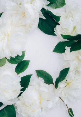 Nazik şakayık dallarından güzel bir çerçeve, çiçek desenleri, düz yatış, üst manzara,