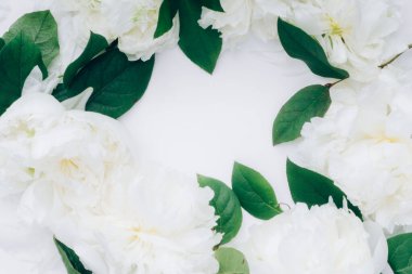 Nazik şakayık dallarından güzel bir çerçeve, çiçek desenleri, düz yatış, üst manzara,