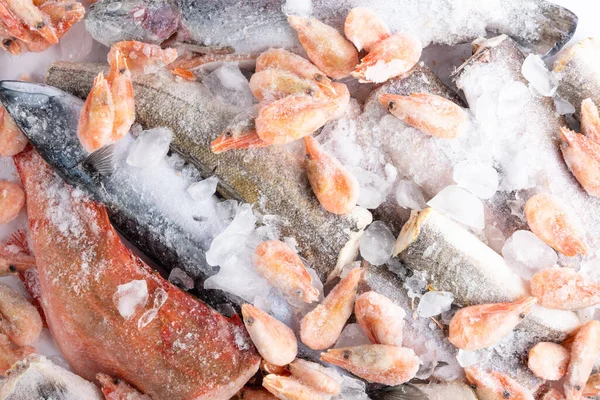 variety of frozen sea sustainable food, fish, shrimps, mackerel, hake, perch, trout, salmon with ice in market, fish store