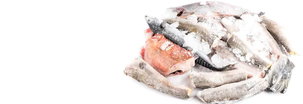 variety of frozen sea sustainable food, fish, shrimps, mackerel, hake, perch, trout, salmon with ice in market, fish store. Banner with copy space