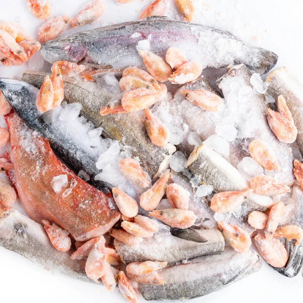 variety of frozen sea sustainable food, fish, shrimps, mackerel, hake, perch, trout, salmon with ice in market, fish store