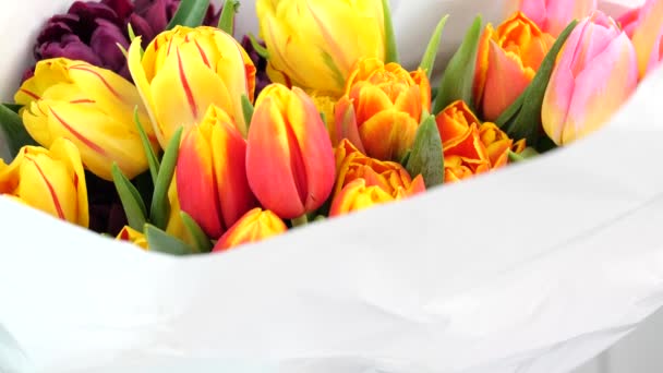 Buket warna-warni dari berbagai tulip segar — Stok Video