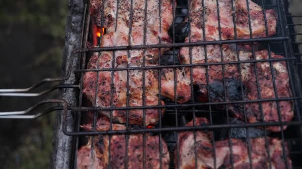 Arrosto succoso barbecue di carne con spezie ed erbe — Video Stock