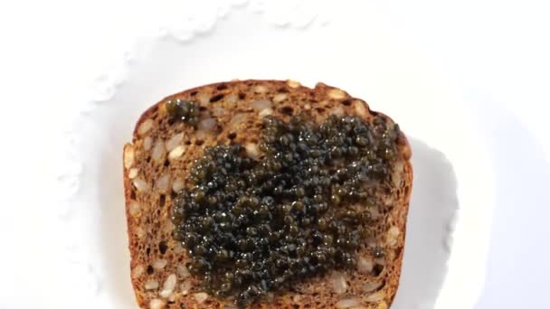 Black caviar served on bread, sndwiches preparing — Stock Video