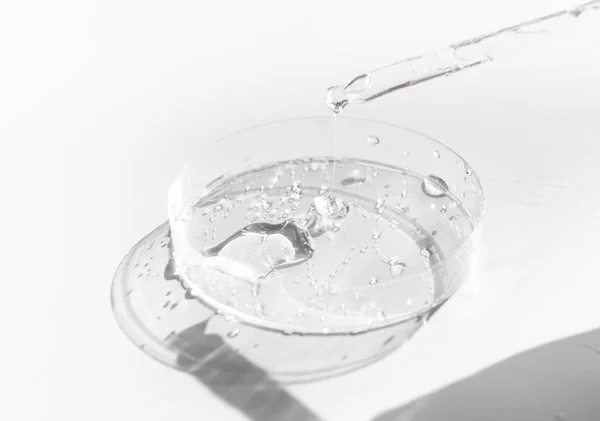 Gel Cair Transparan Atau Asam Serum Hialuronat Dalam Cawan Petri Stok Foto