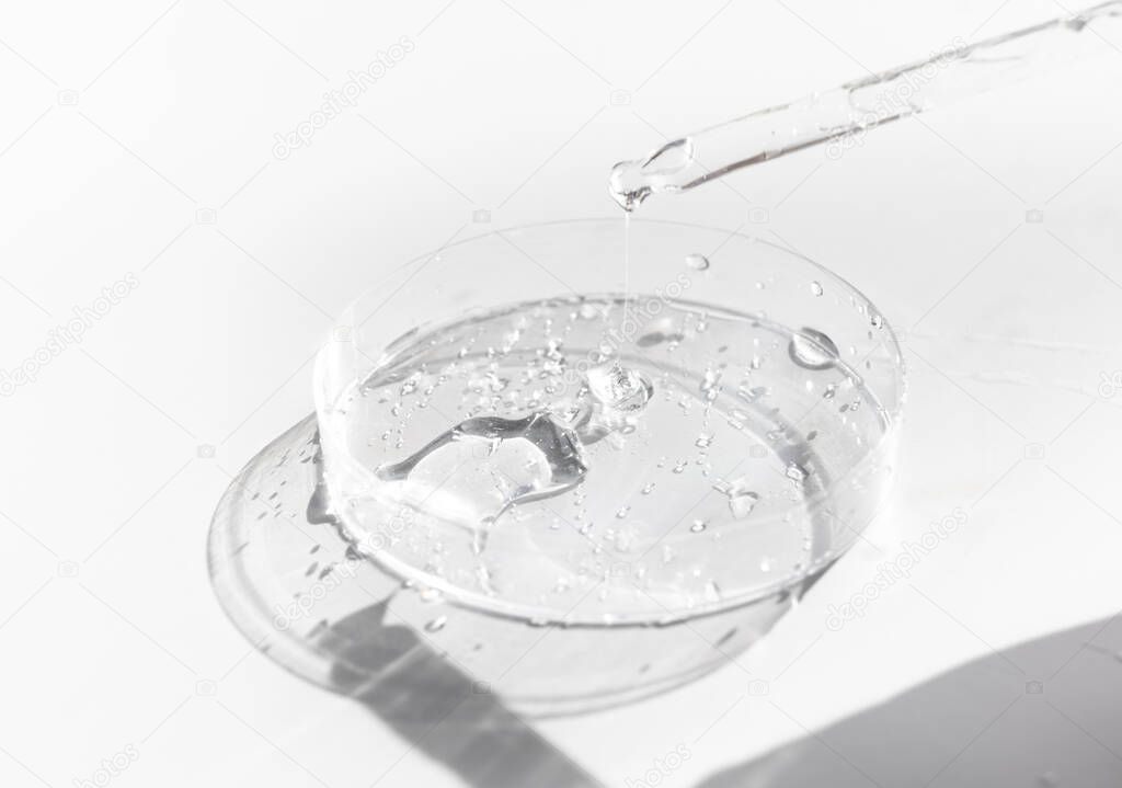 Transparent liquid gel or hyaluronic serum acid in petri medical dish with pipette. Hydrating and skin care concept
