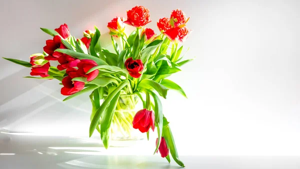 Hermosas Flores Tulipanes Rojos Primavera Jarrón Vidrio Bajo Brillantes Luces —  Fotos de Stock