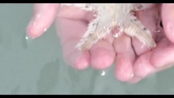 Starfish in human hand floating in turquoise tropical beach — Stock Video