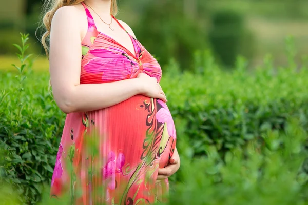 Young beautiful pregnant woman with flowers — Stock Photo, Image