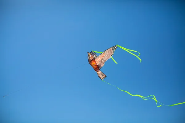Gekleurde kite in de lucht — Stockfoto